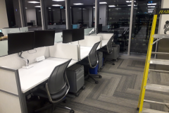 ernst-young-1