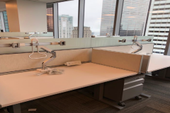 ernst-young-11
