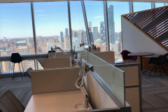 ernst-young-14