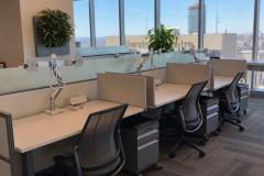 ernst-young-15