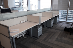 ernst-young-3