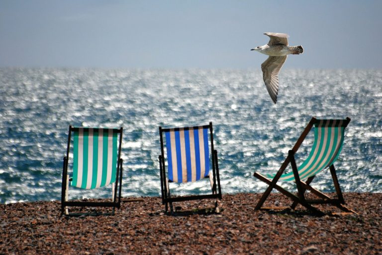 3 lounge chairs on a beach with a seagull flying overhead